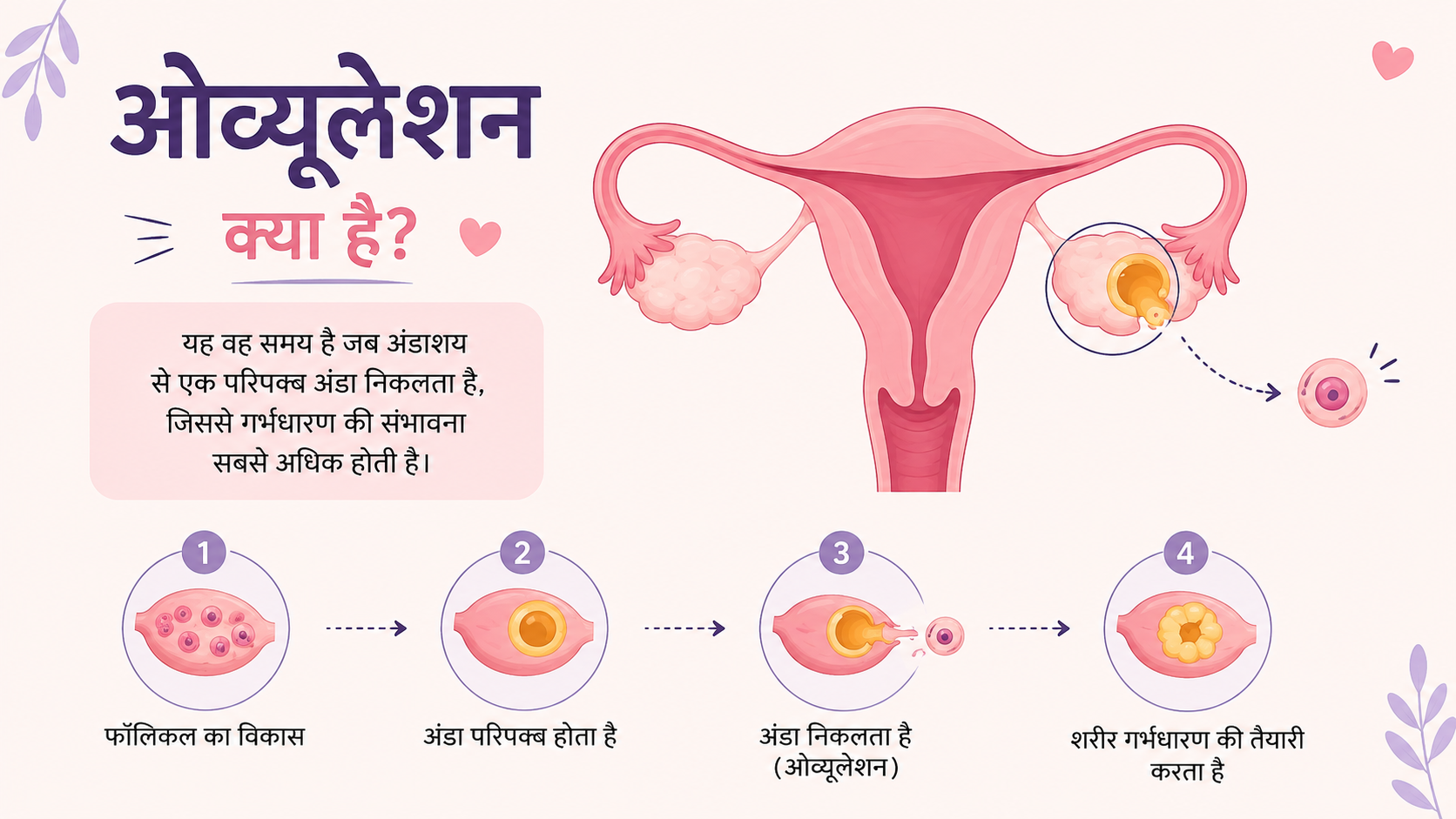 ओव्यूलेशन क्या है? लक्षण और ओव्यूलेशन किट का महत्व